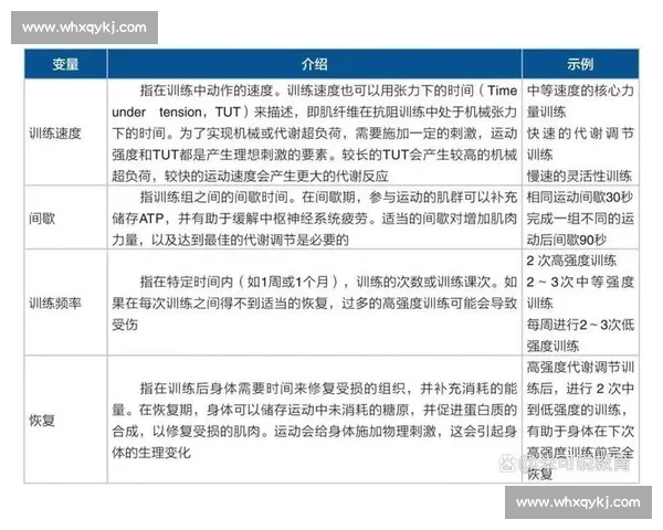 体育科学视角下运动表现评估与训练效果优化研究 体育科学视角下运动表现评估与训练效果优化研究